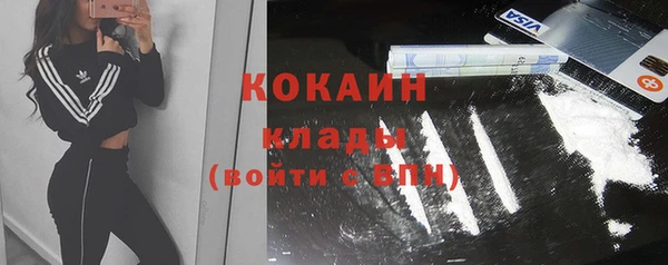 ешки Аркадак