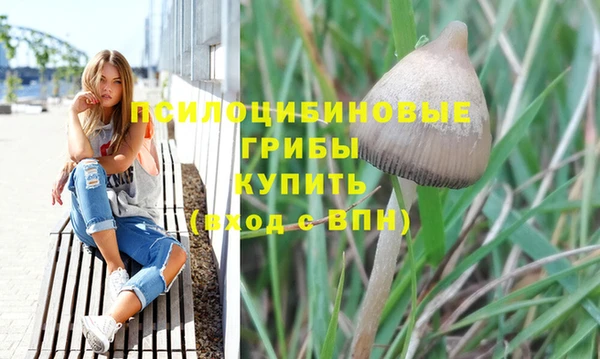 ешки Аркадак