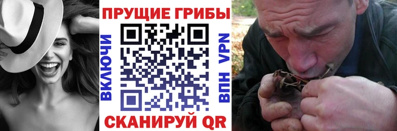 Галлюциногенные грибы прущие грибы  цена наркотик  Дедовск 