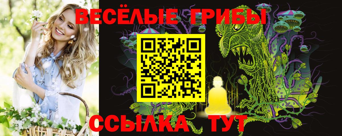 Псилоцибиновые грибы Psilocybine cubensis Дедовск