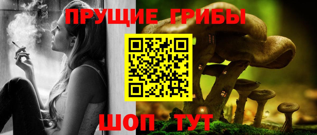 Псилоцибиновые грибы Psilocybine cubensis  Галлюциногенные грибы Psilocybe  Дедовск 