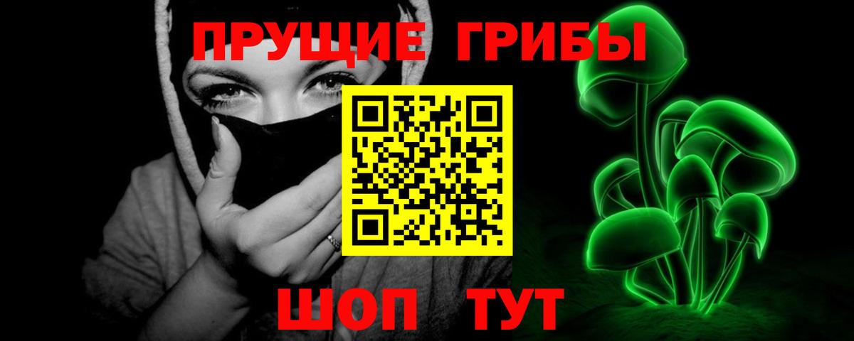Дедовск  Псилоцибиновые грибы Cubensis  Псилоцибиновые грибы GOLDEN TEACHER  Вход с VPN 